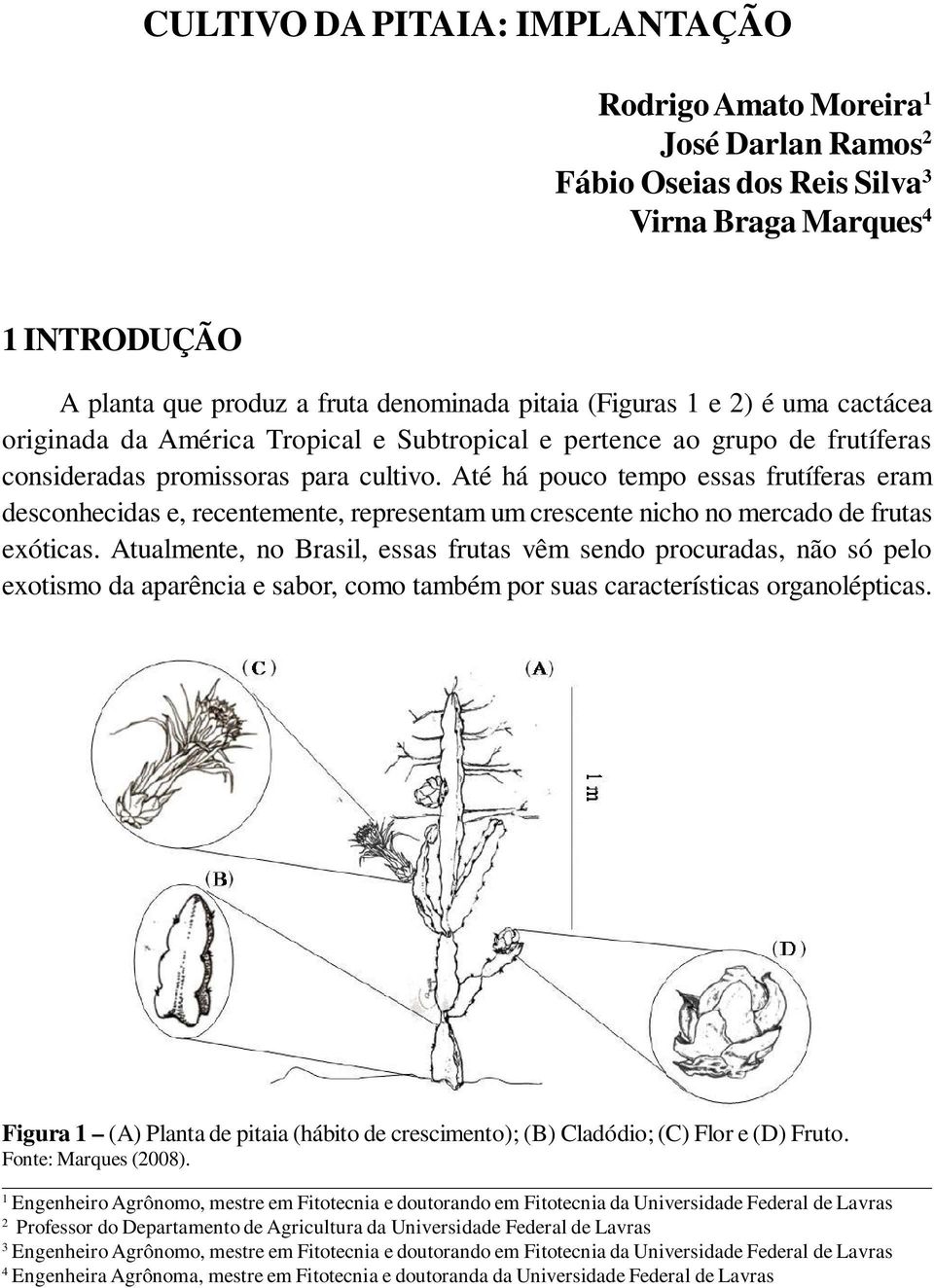 Até há pouco tempo essas frutíferas eram desconhecidas e, recentemente, representam um crescente nicho no mercado de frutas exóticas.