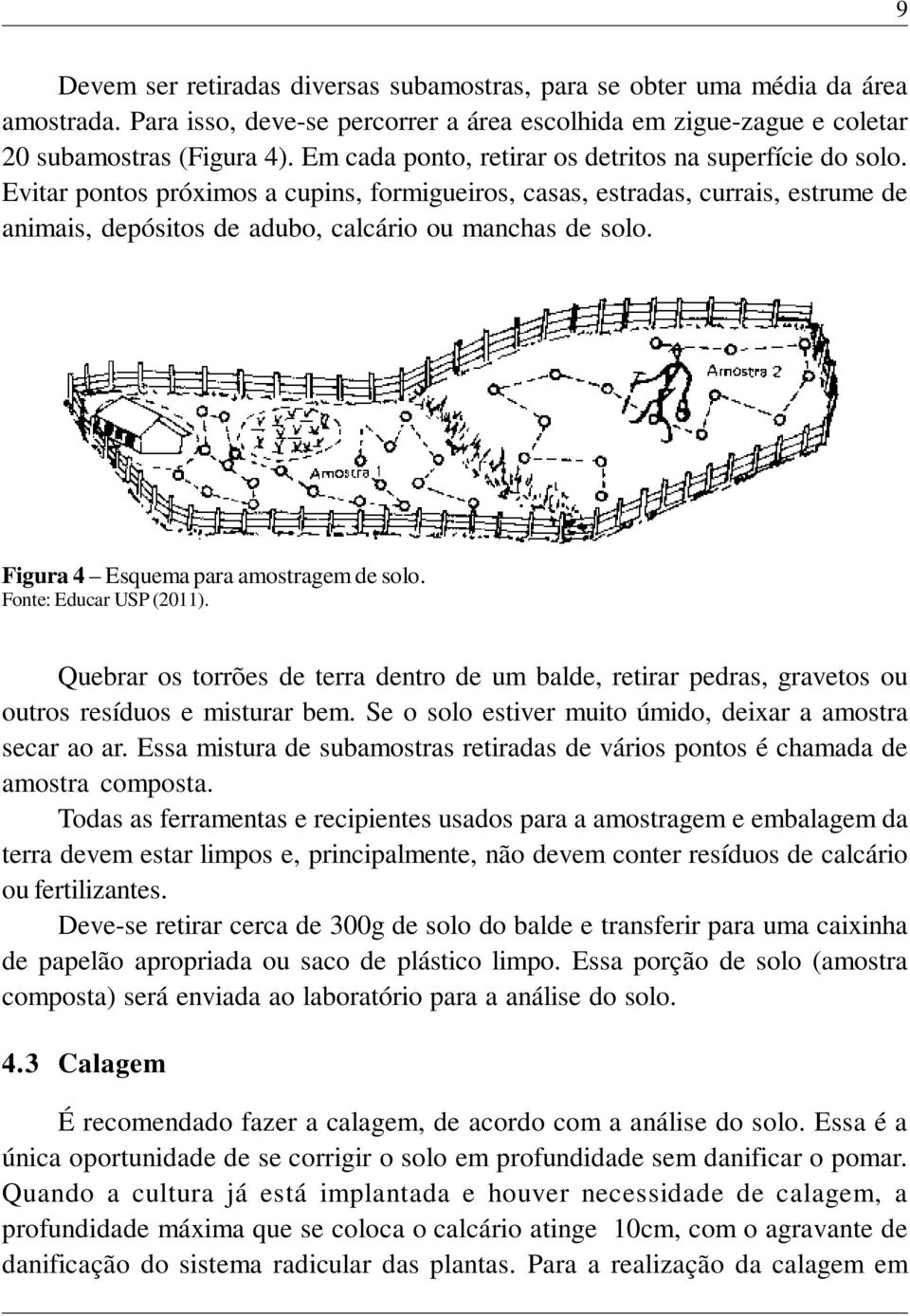 Figura 4 Esquema para amostragem de solo. Fonte: Educar USP (2011). Quebrar os torrões de terra dentro de um balde, retirar pedras, gravetos ou outros resíduos e misturar bem.