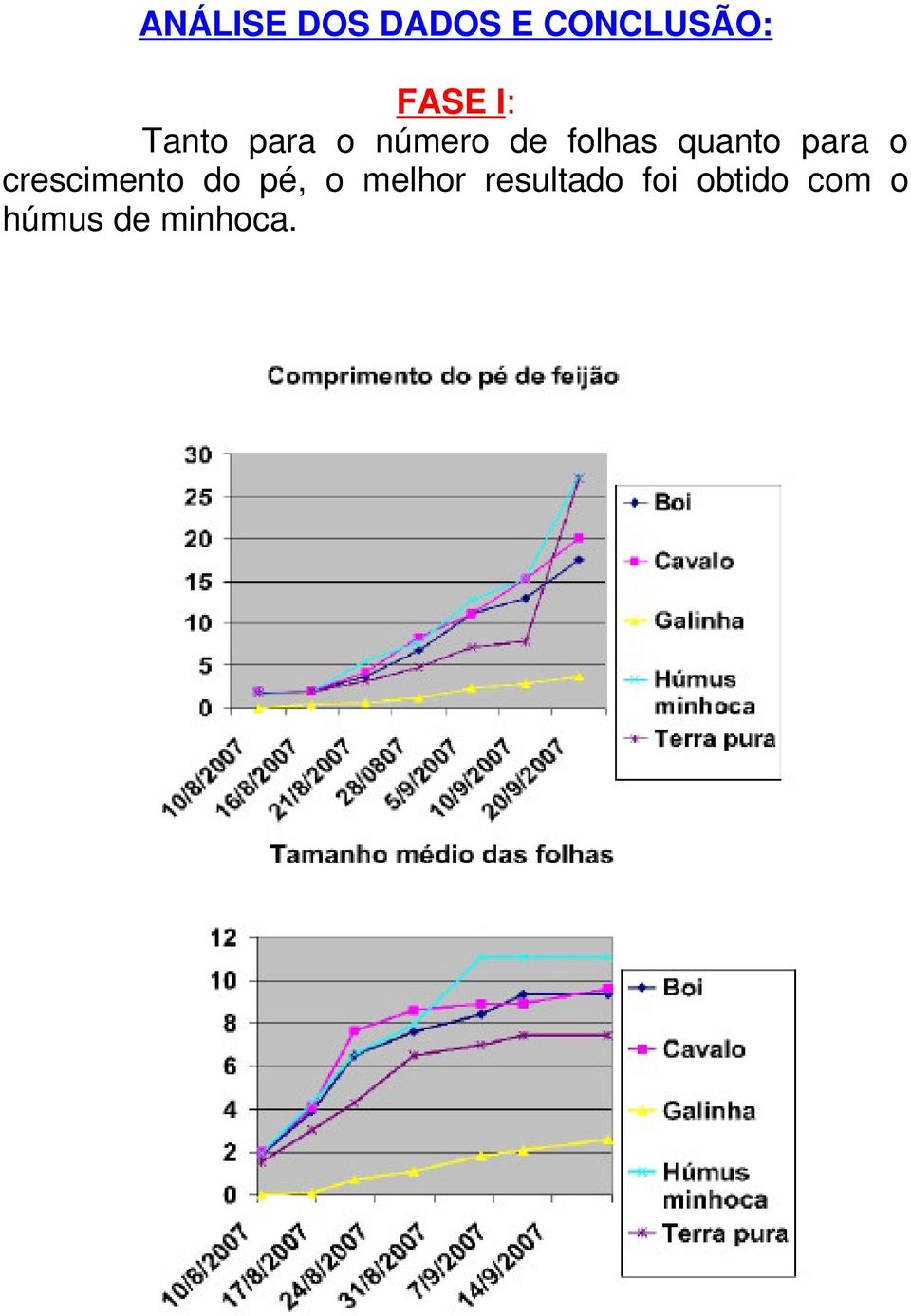 para o crescimento do pé, o melhor