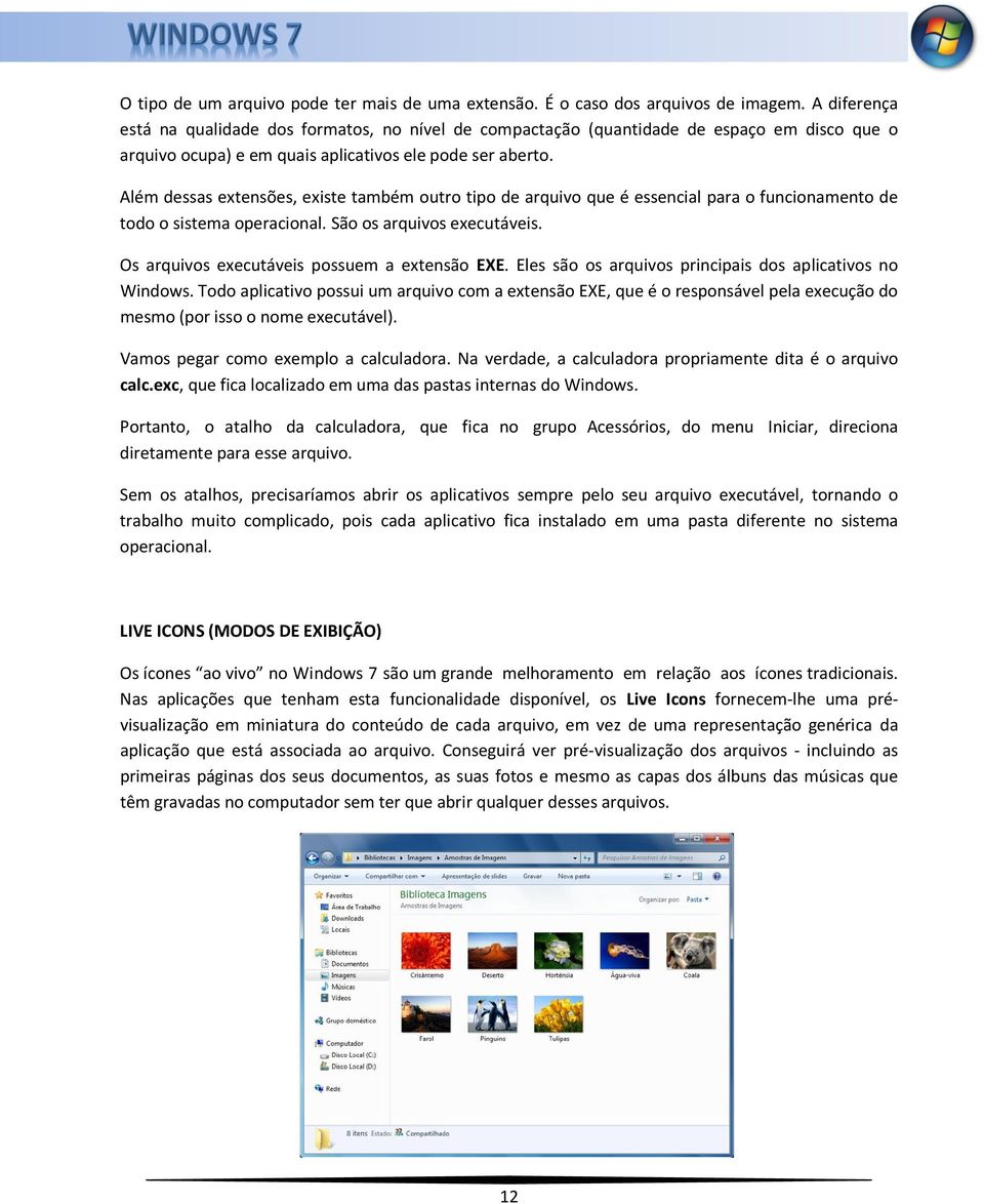 Além dessas extensões, existe também outro tipo de arquivo que é essencial para o funcionamento de todo o sistema operacional. São os arquivos executáveis.