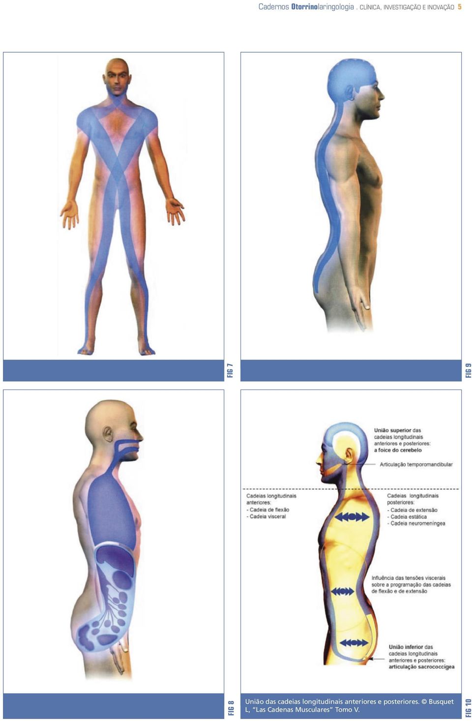 FIG 9 União das cadeias longitudinais