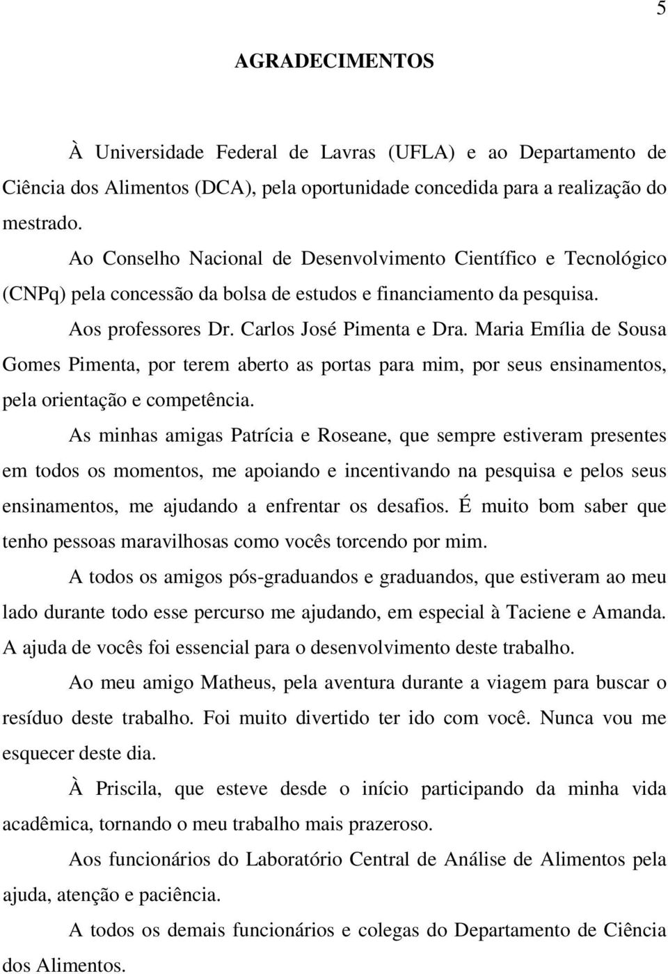 Maria Emília de Sousa Gomes Pimenta, por terem aberto as portas para mim, por seus ensinamentos, pela orientação e competência.