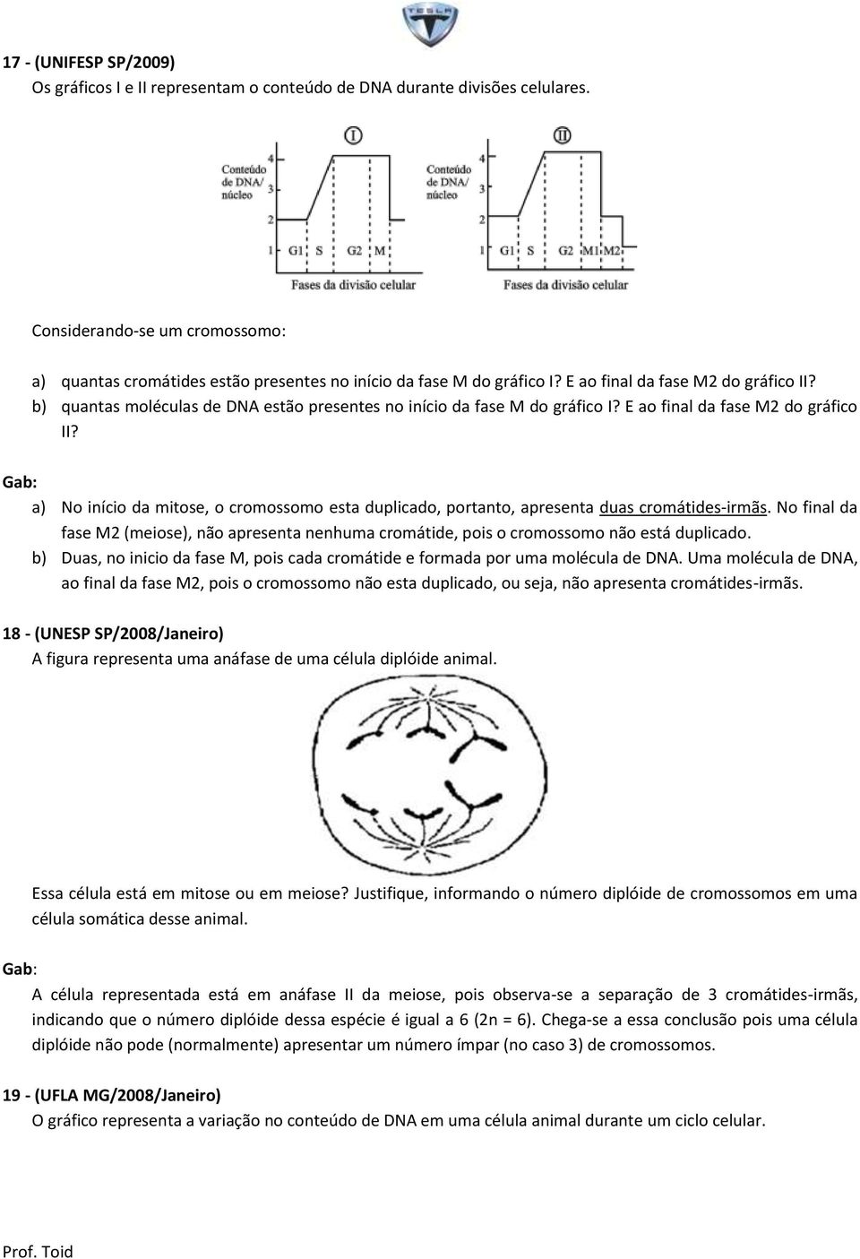 b) quantas moléculas de DNA estão presentes no início da fase M do gráfico I? E ao final da fase M2 do gráfico II?