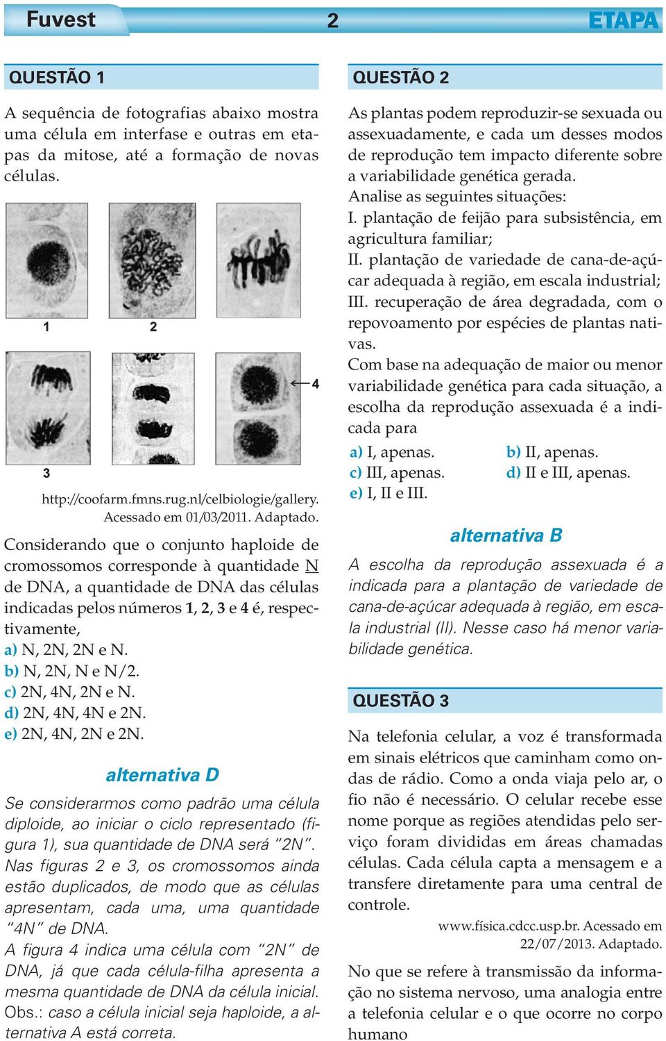 Considerando que o conjunto haploide de cromossomos corresponde à quantidade N de DNA, a quantidade de DNA das células indicadas pelos números 1,, 3 e 4 é, respectivamente, a) N, N, N e N.