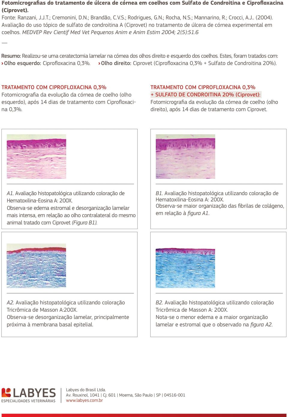 MEDVEP Rev Cientif Med Vet Pequenos Anim e Anim Estim 2004; 2(5):51.6 Resumo: Realizou-se uma ceratectomia lamelar na córnea dos olhos direito e esquerdo dos coelhos.