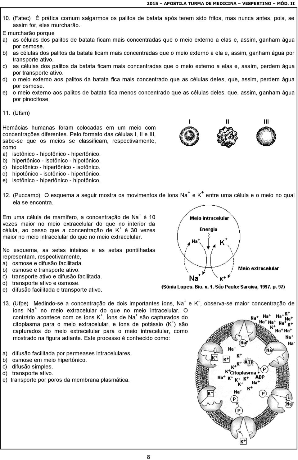 b) as células dos palitos da batata ficam mais concentradas que o meio externo a ela e, assim, ganham água por transporte ativo.