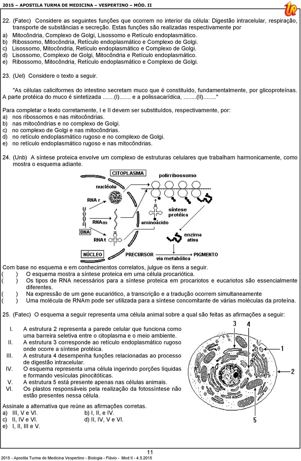 c) Lisossomo, Mitocôndria, Retículo endoplasmático e Complexo de Golgi. d) Lisossomo, Complexo de Golgi, Mitocôndria e Retículo endoplasmático.