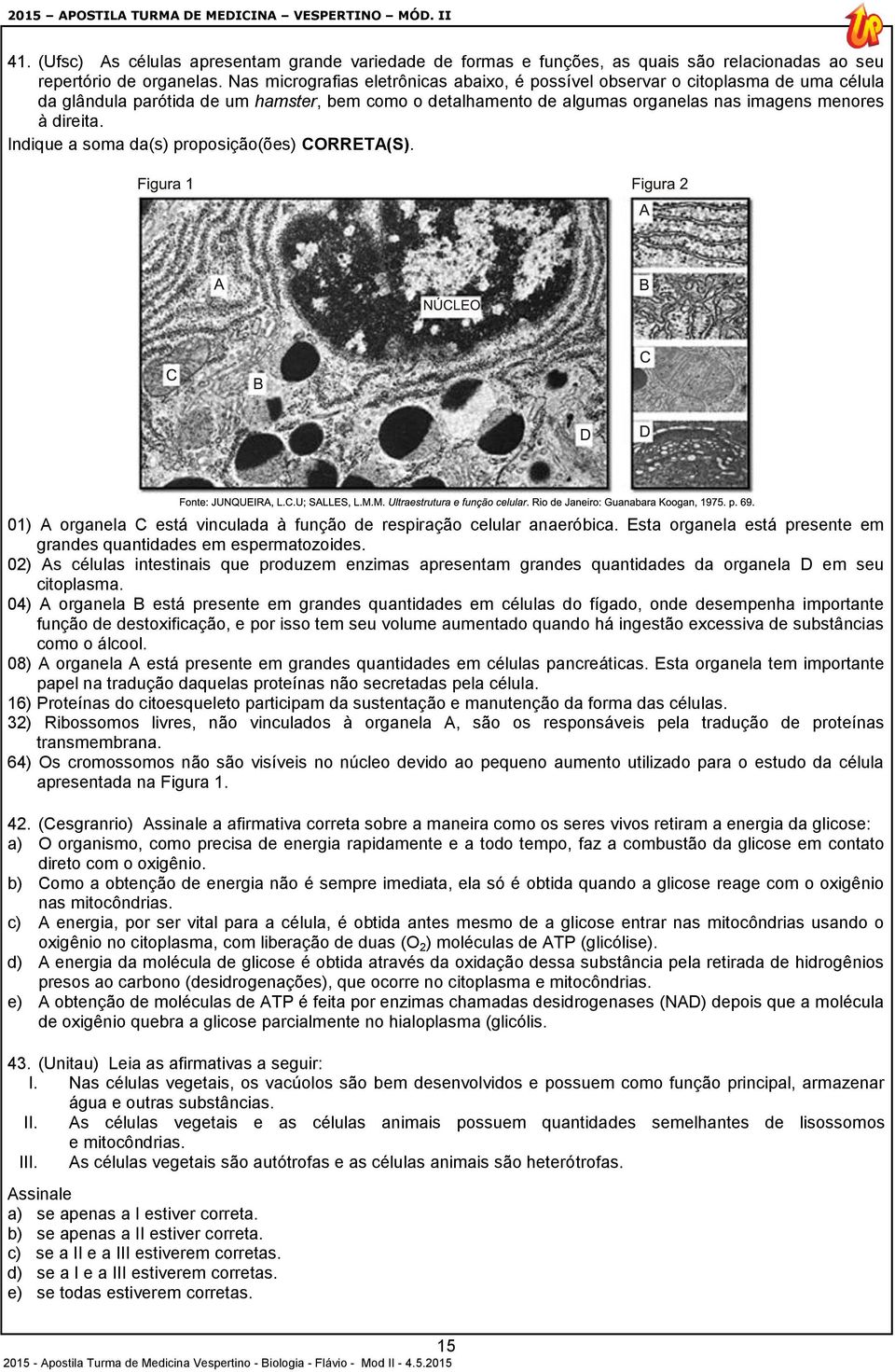 Indique a soma da(s) proposição(ões) CORRETA(S). 01) A organela C está vinculada à função de respiração celular anaeróbica. Esta organela está presente em grandes quantidades em espermatozoides.