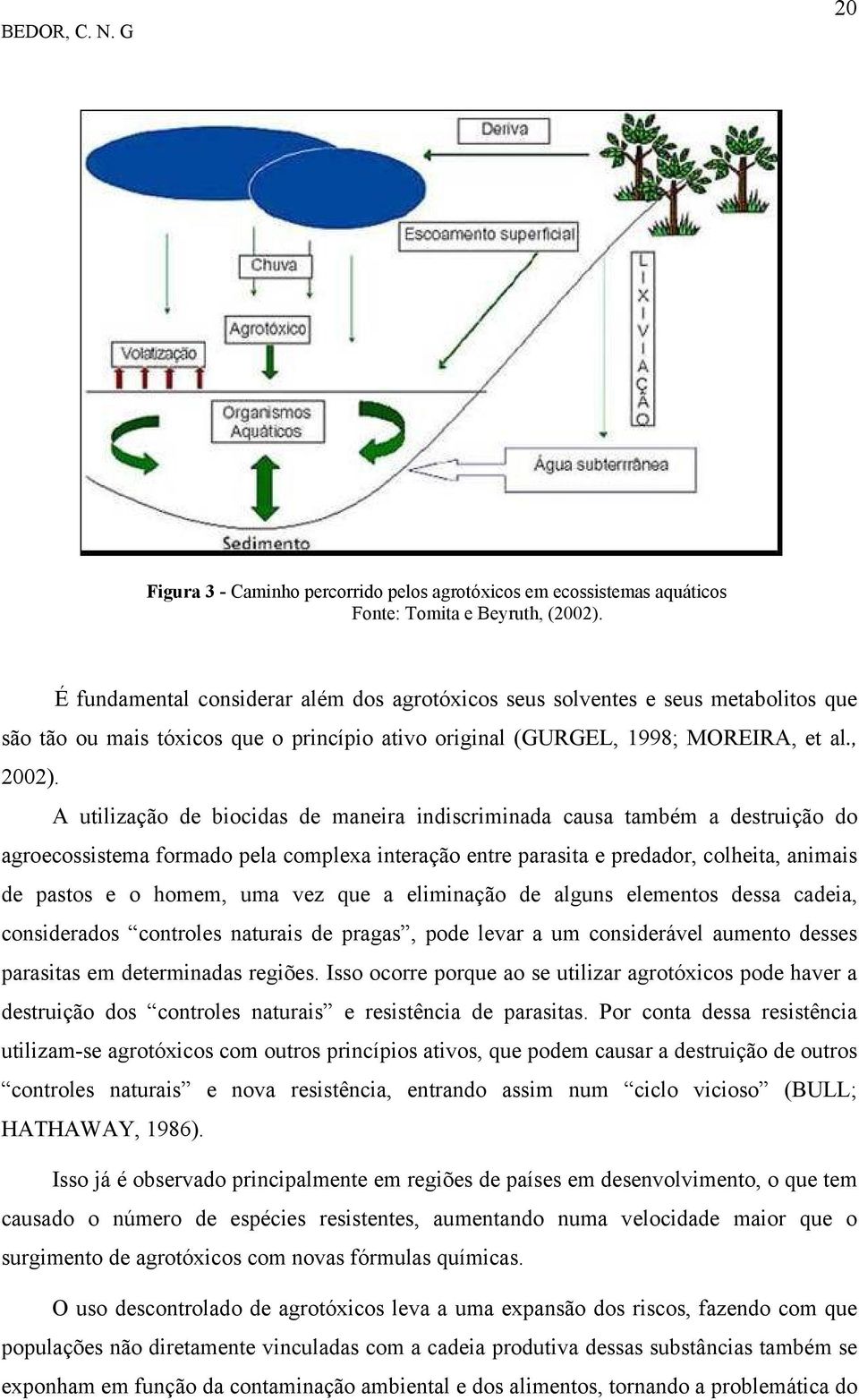 A utilização de biocidas de maneira indiscriminada causa também a destruição do agroecossistema formado pela complexa interação entre parasita e predador, colheita, animais de pastos e o homem, uma