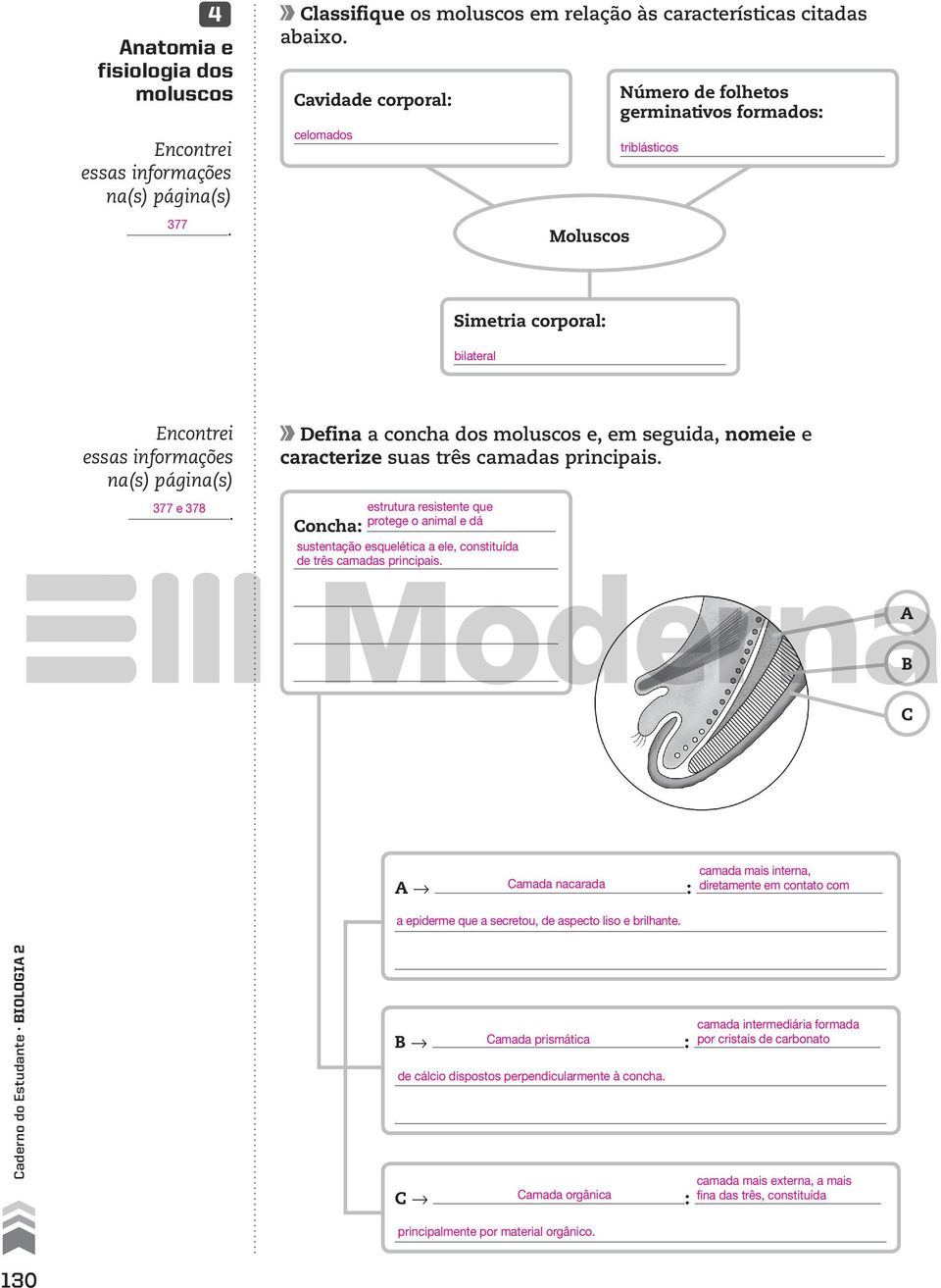 ele, constituída de três camadas principais A B C Camada nacarada Concha: A # : a epiderme que a secretou, de aspecto liso e brilhante camada mais interna, diretamente em contato com Concha: B #