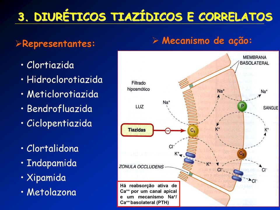 Ciclopentiazida Clortalidona Indapamida Xipamida Metolazona Há