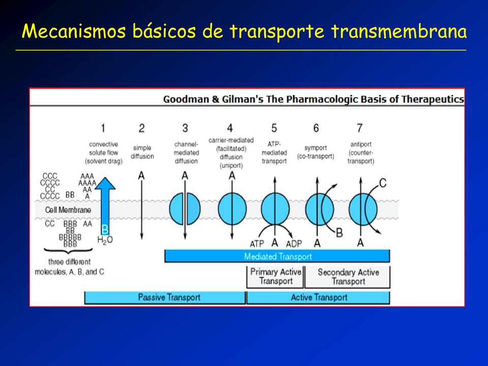 transporte