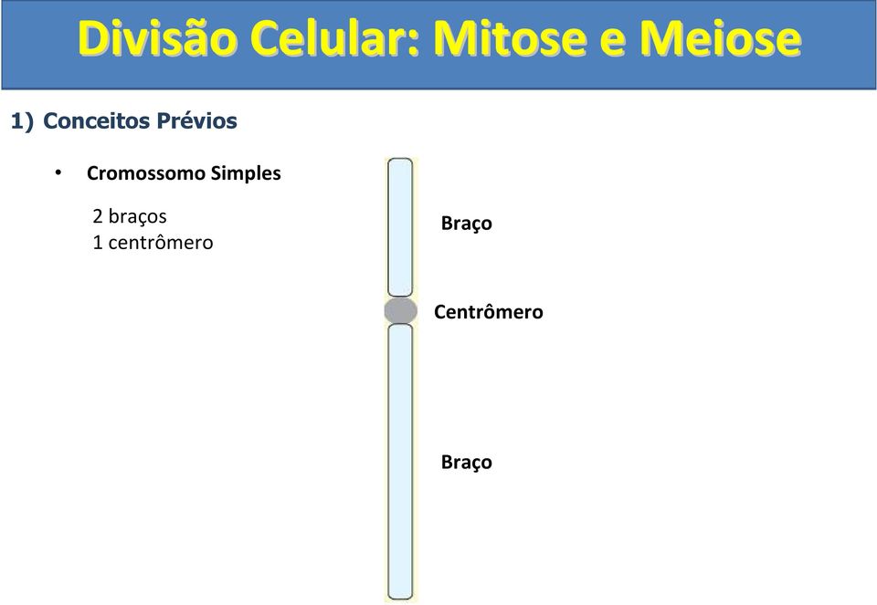 braços 1 centrômero