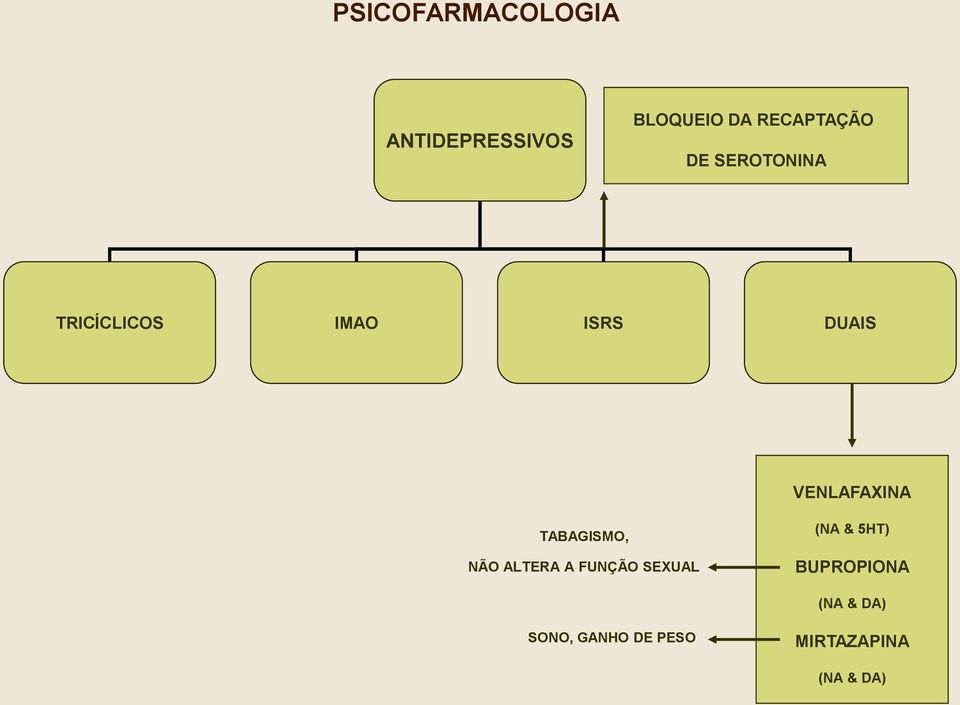 VENLAFAXINA TABAGISMO, NÃO ALTERA A FUNÇÃO SEXUAL (NA &