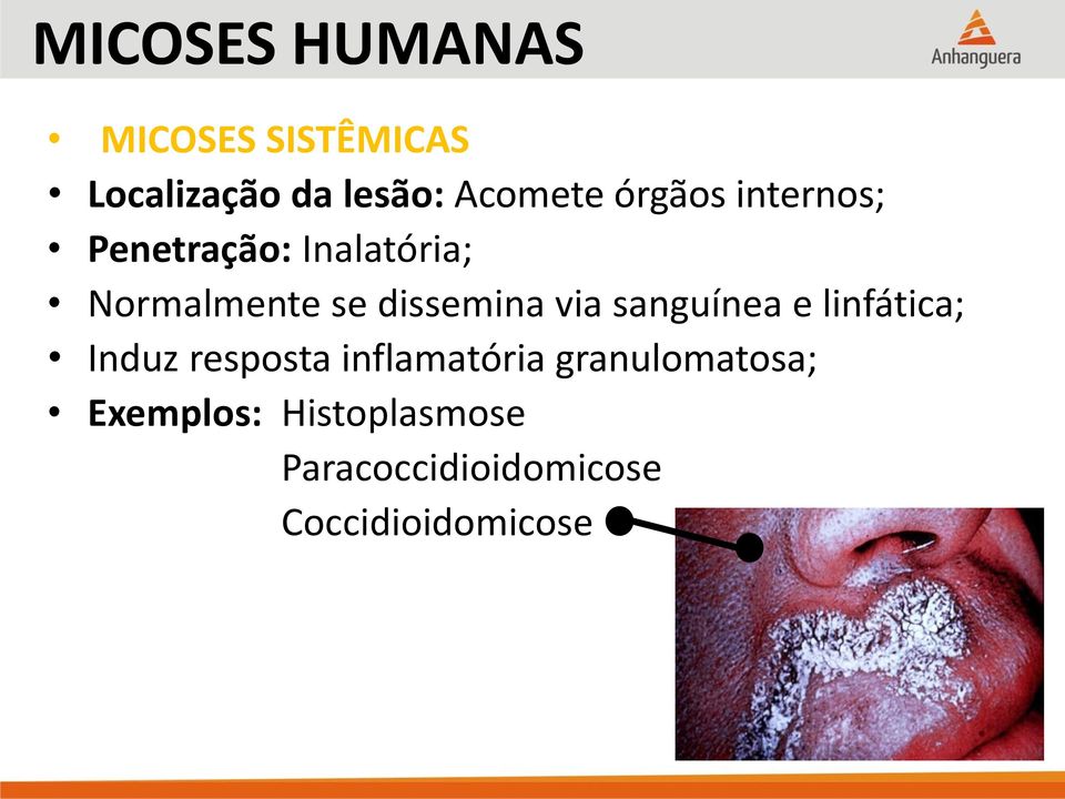 via sanguínea e linfática; Induz resposta inflamatória