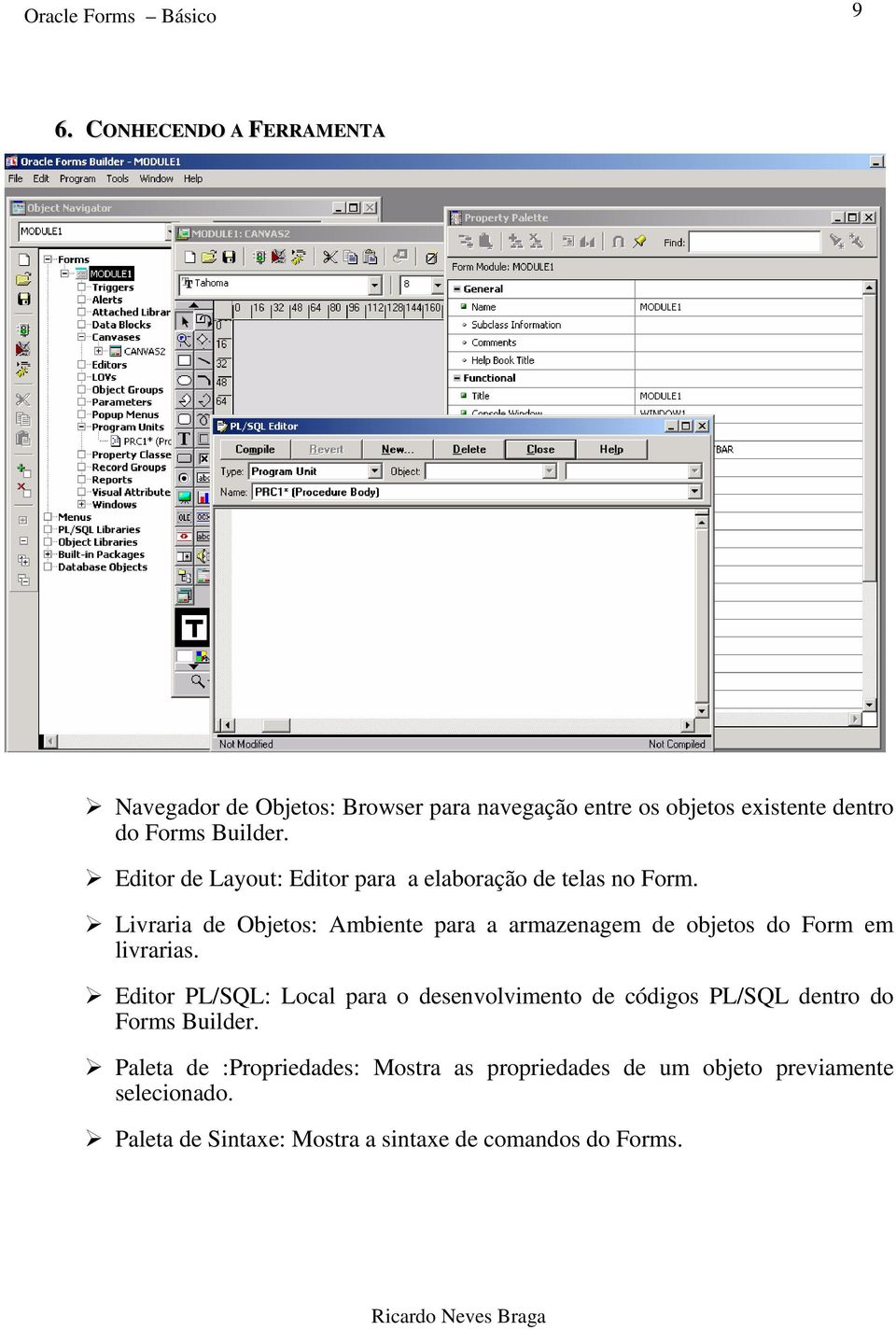 Editor de Layout: Editor para a elaboração de telas no Form.