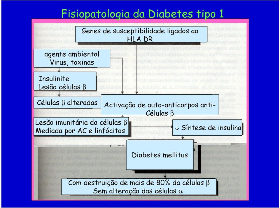 auto-anticorpos anti- Células β Lesão imunitária da células β Mediada por AC e linfócitos