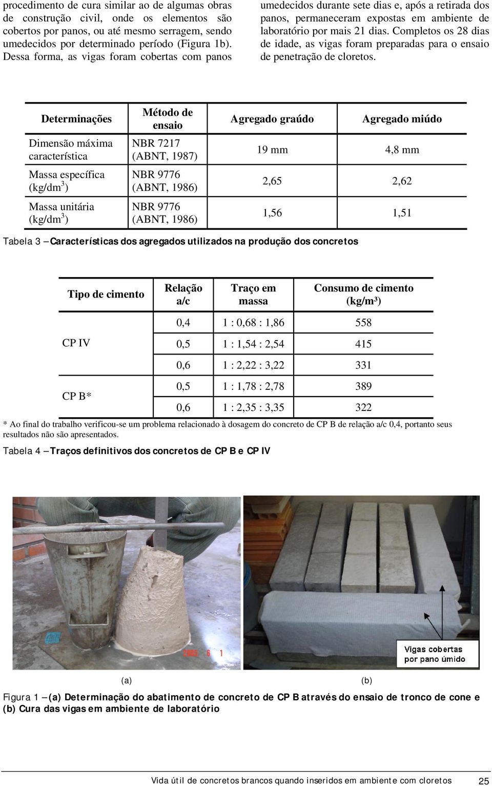 Completos os 28 dias de idade, as vigas foram preparadas para o ensaio de penetração de cloretos.