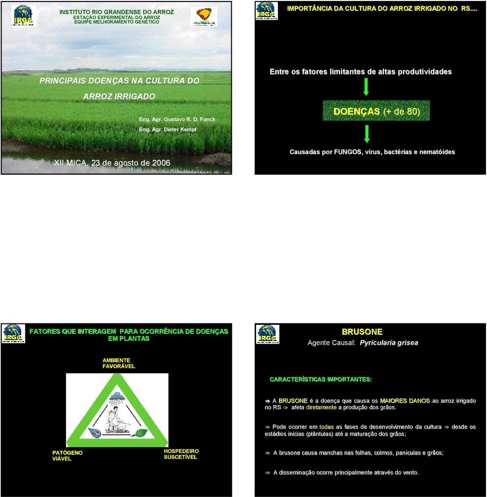 . Dieter Kempf Entre os fatores limitantes de altas produtividades DOENÇAS (+ de 80) XII MICA, 23 de agosto de 2006 Causadas por FUNGOS, vírus, bactérias e nematóides FATORES QUE INTERAGEM PARA