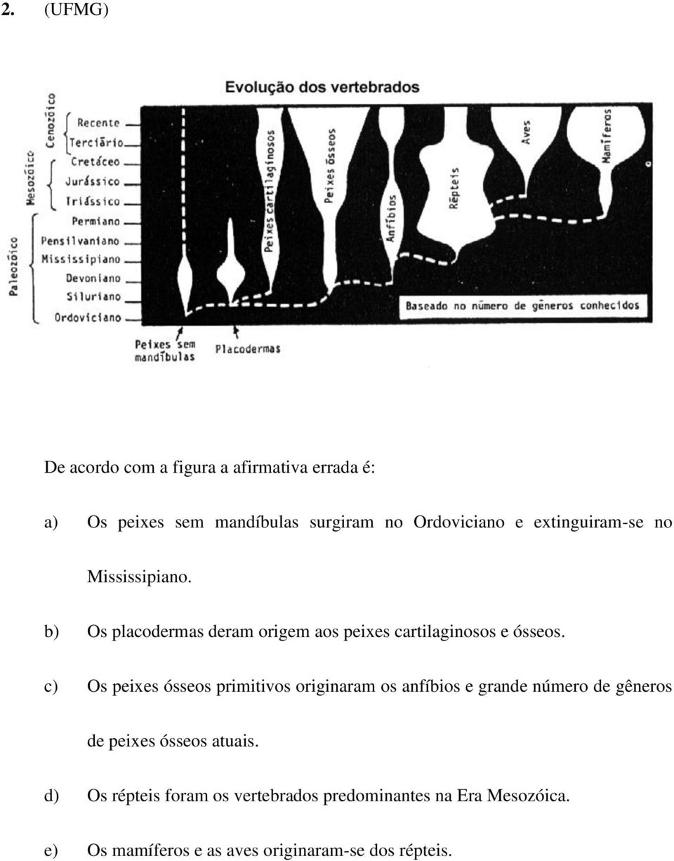 c) Os peixes ósseos primitivos originaram os anfíbios e grande número de gêneros de peixes ósseos atuais.