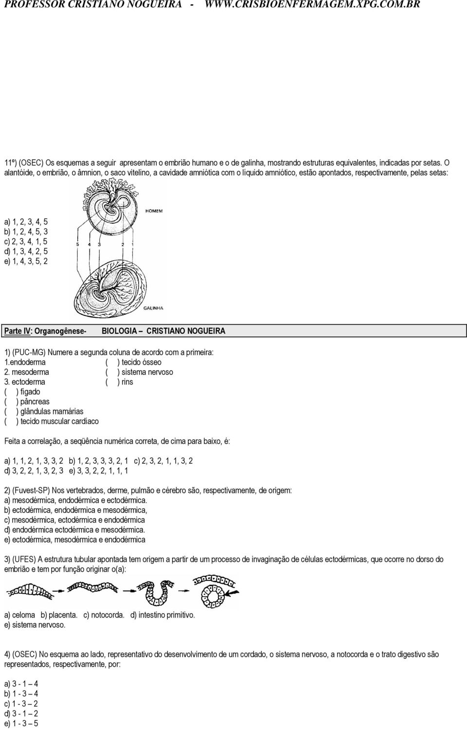 1, 3, 4, 2, 5 e) 1, 4, 3, 5, 2 Parte IV: Organogênese- BIOLOGIA CRISTIANO NOGUEIRA 1) (PUC-MG) Numere a segunda coluna de acordo com a primeira: 1.endoderma ( ) tecido ósseo 2.