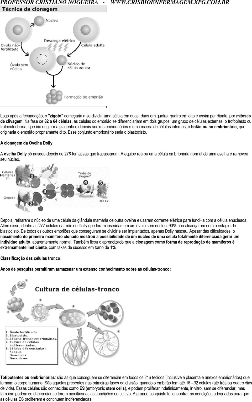 embrionários e uma massa de células internas, o botão ou nó embrionário, que originaria o embrião propriamente dito. Esse conjunto embrionário seria o blastocisto.