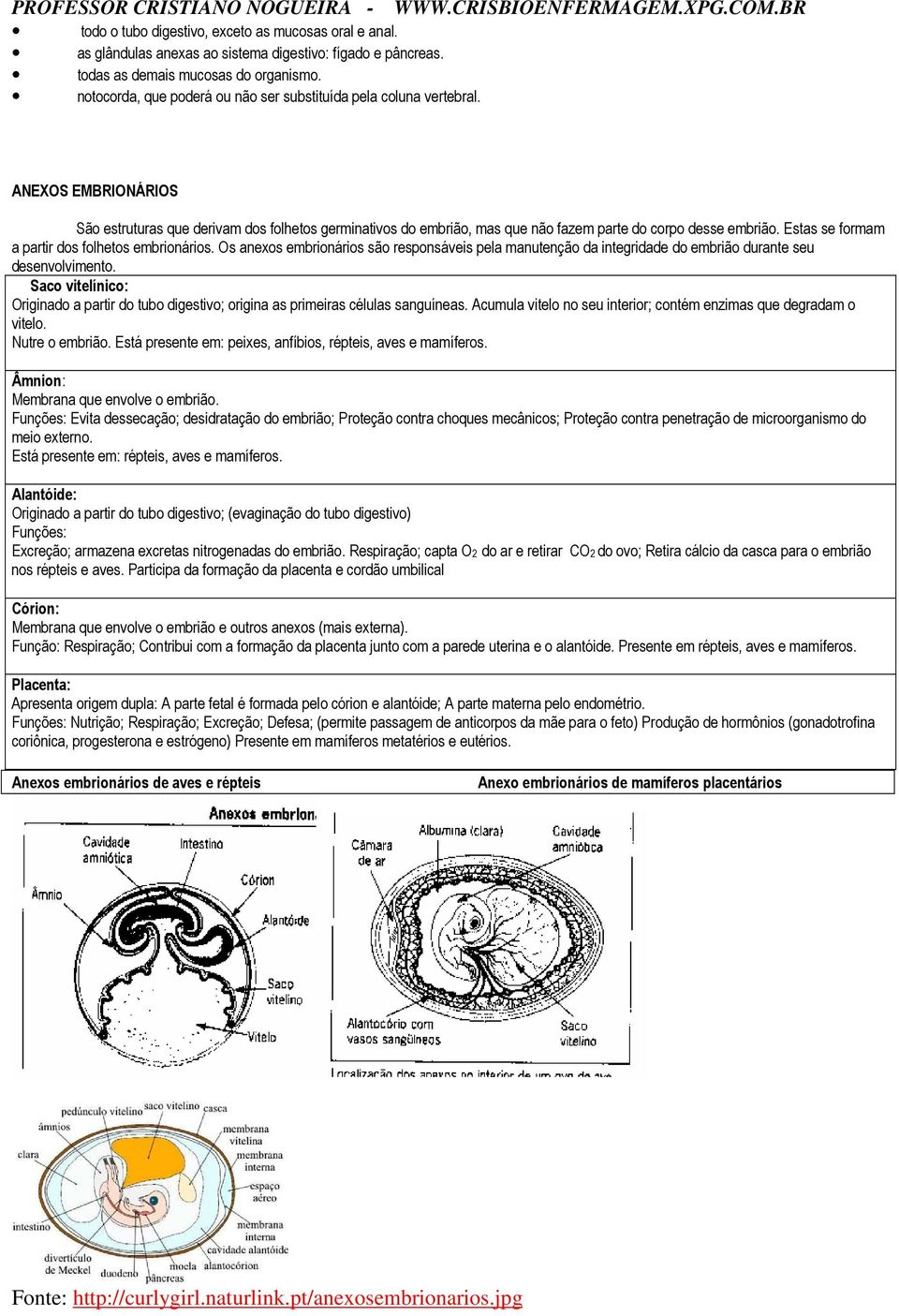 Estas se formam a partir dos folhetos embrionários. Os anexos embrionários são responsáveis pela manutenção da integridade do embrião durante seu desenvolvimento.