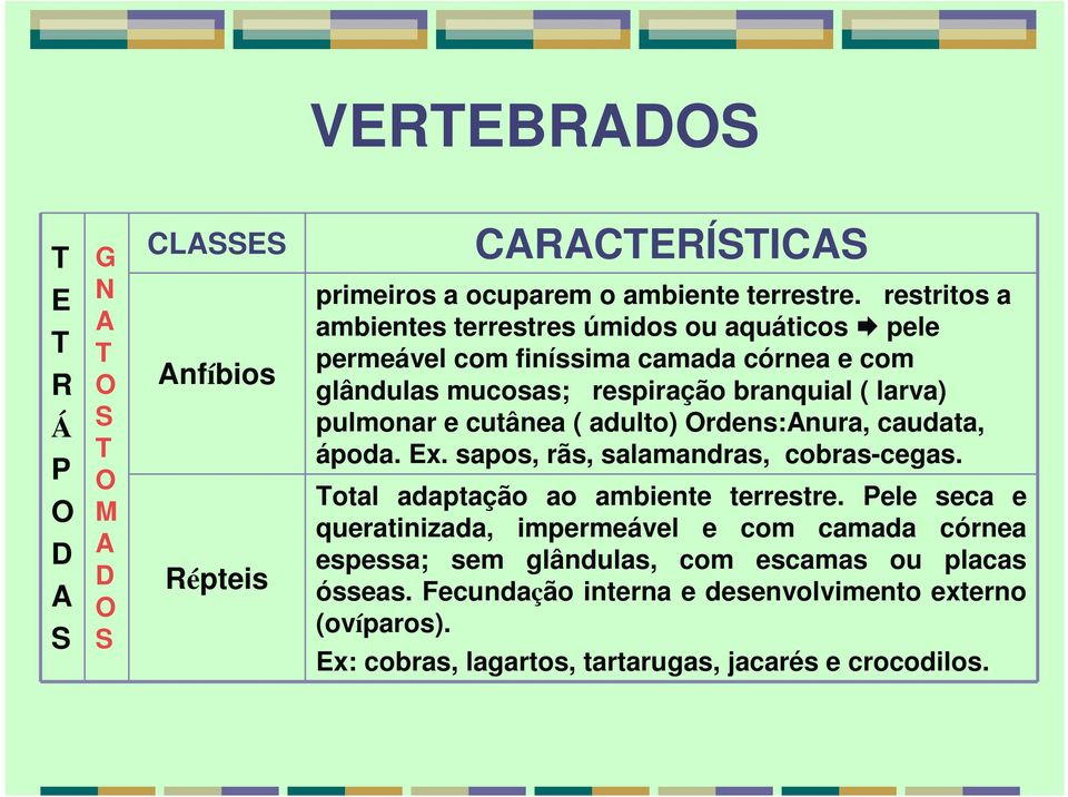 cutânea ( adulto) Ordens:Anura, caudata, ápoda. Ex. sapos, rãs, salamandras, cobras-cegas. Total adaptação ao ambiente terrestre.