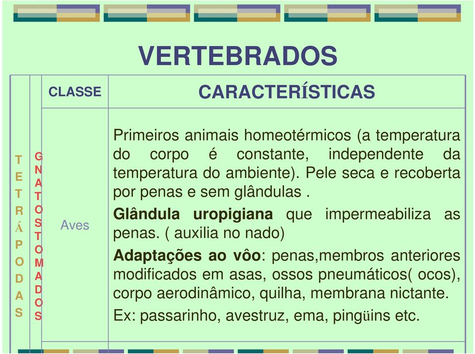 Glândula uropigiana que impermeabiliza as penas.