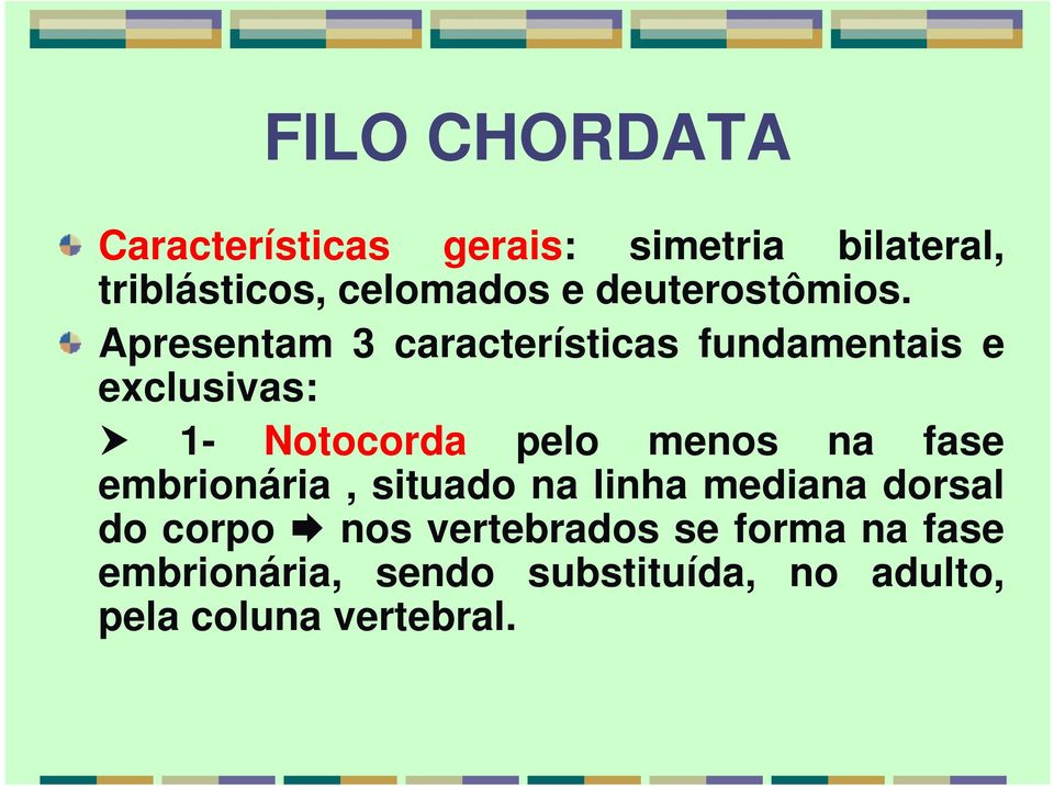 Apresentam 3 características fundamentais e exclusivas: 1- Notocorda pelo menos na