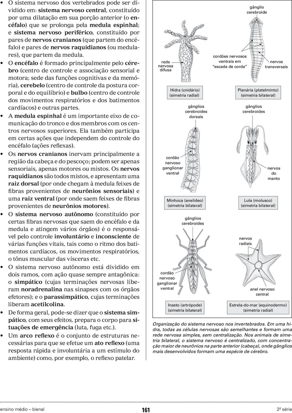 O encéfalo é formado principalmente pelo cérebro (centro de controle e associação sensorial e motora; sede das funções cognitivas e da memória), cerebelo (centro de controle da postura corporal e do