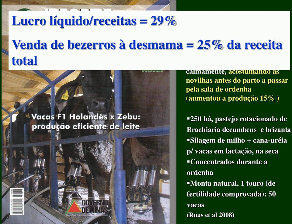 há, pastejo rotacionado de Brachiaria decumbens e brizanta Silagem de milho + cana-uréia p/ vacas em lactação,