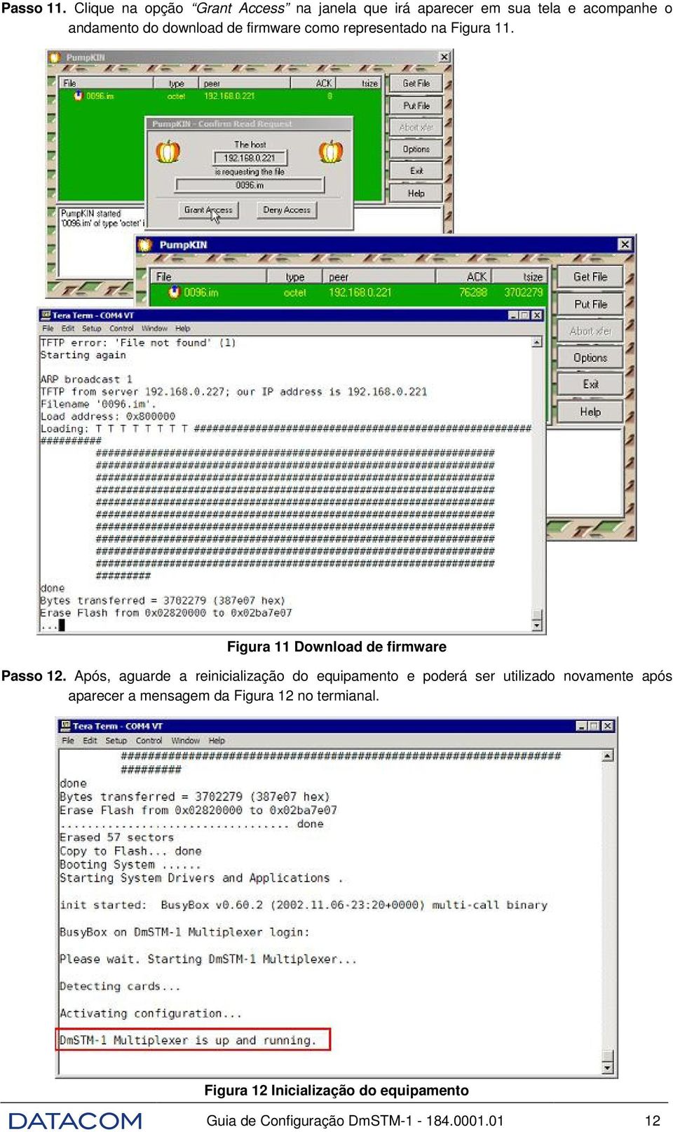 de firmware como representado na Figura 11. Figura 11 Download de firmware Passo 12.