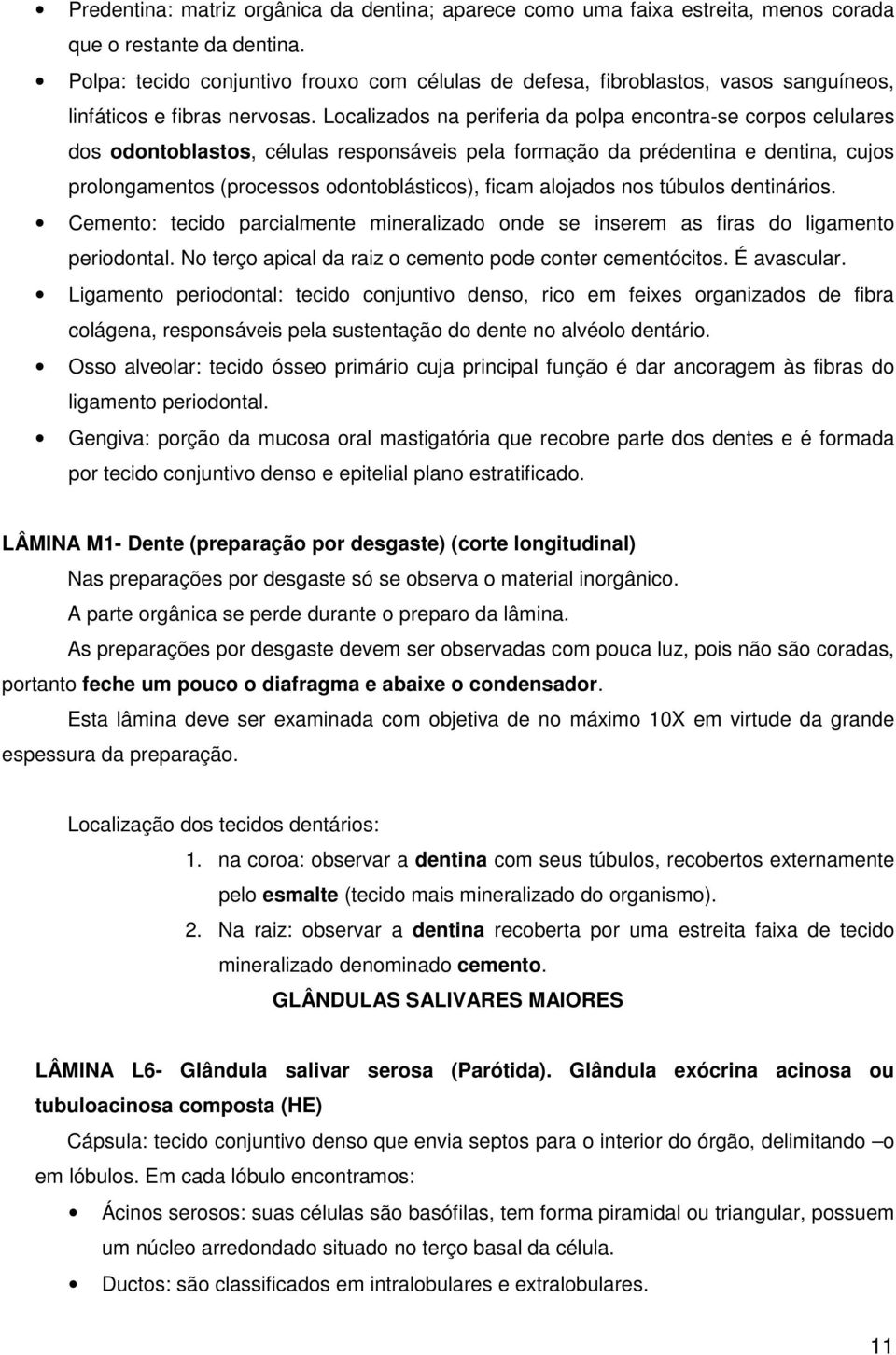 Localizados na periferia da polpa encontra-se corpos celulares dos odontoblastos, células responsáveis pela formação da prédentina e dentina, cujos prolongamentos (processos odontoblásticos), ficam