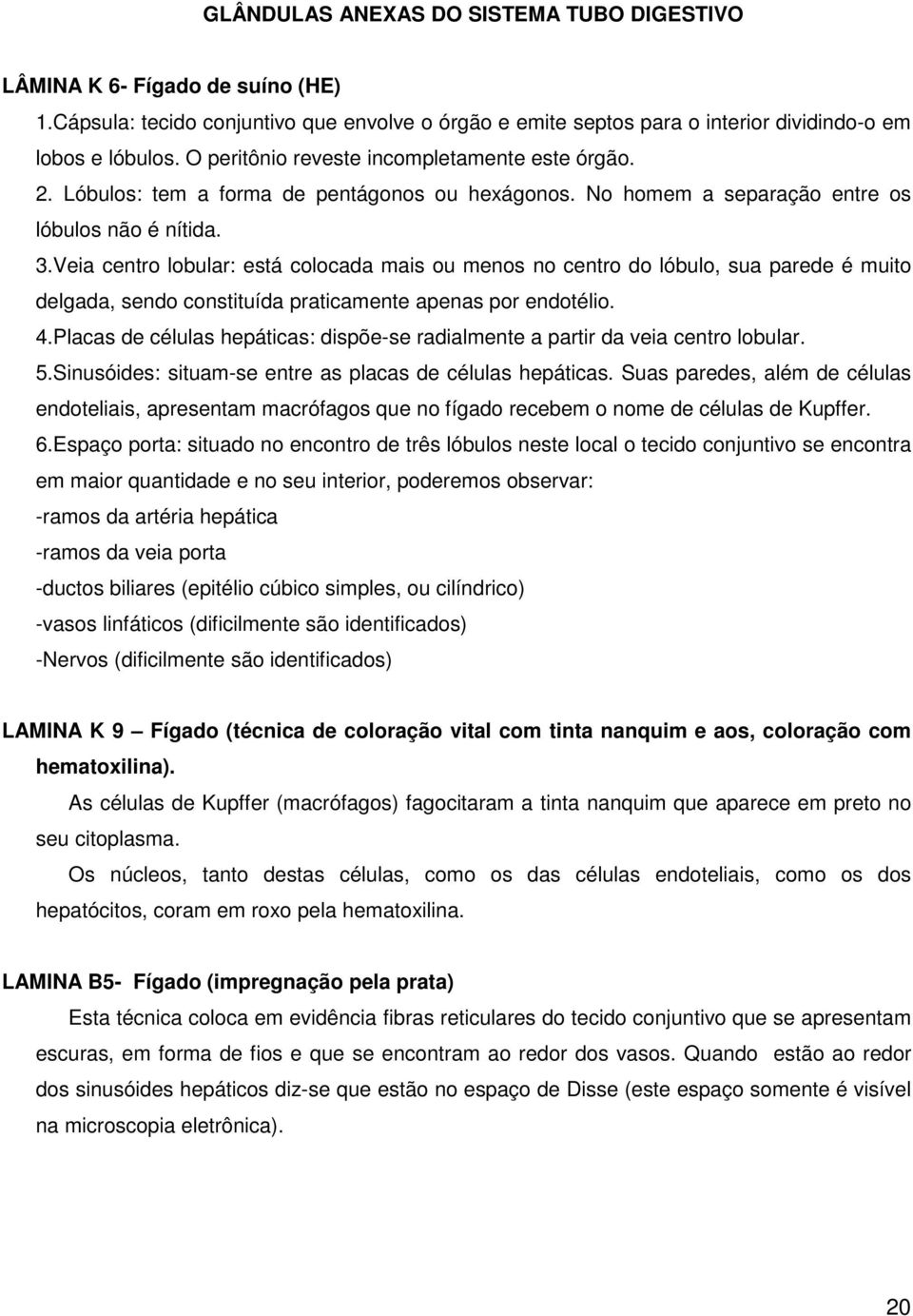 Veia centro lobular: está colocada mais ou menos no centro do lóbulo, sua parede é muito delgada, sendo constituída praticamente apenas por endotélio. 4.