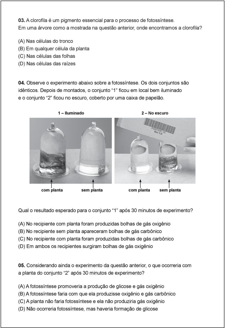 Depois de montados, o conjunto 1 ficou em local bem iluminado e o conjunto 2 ficou no escuro, coberto por uma caixa de papelão.