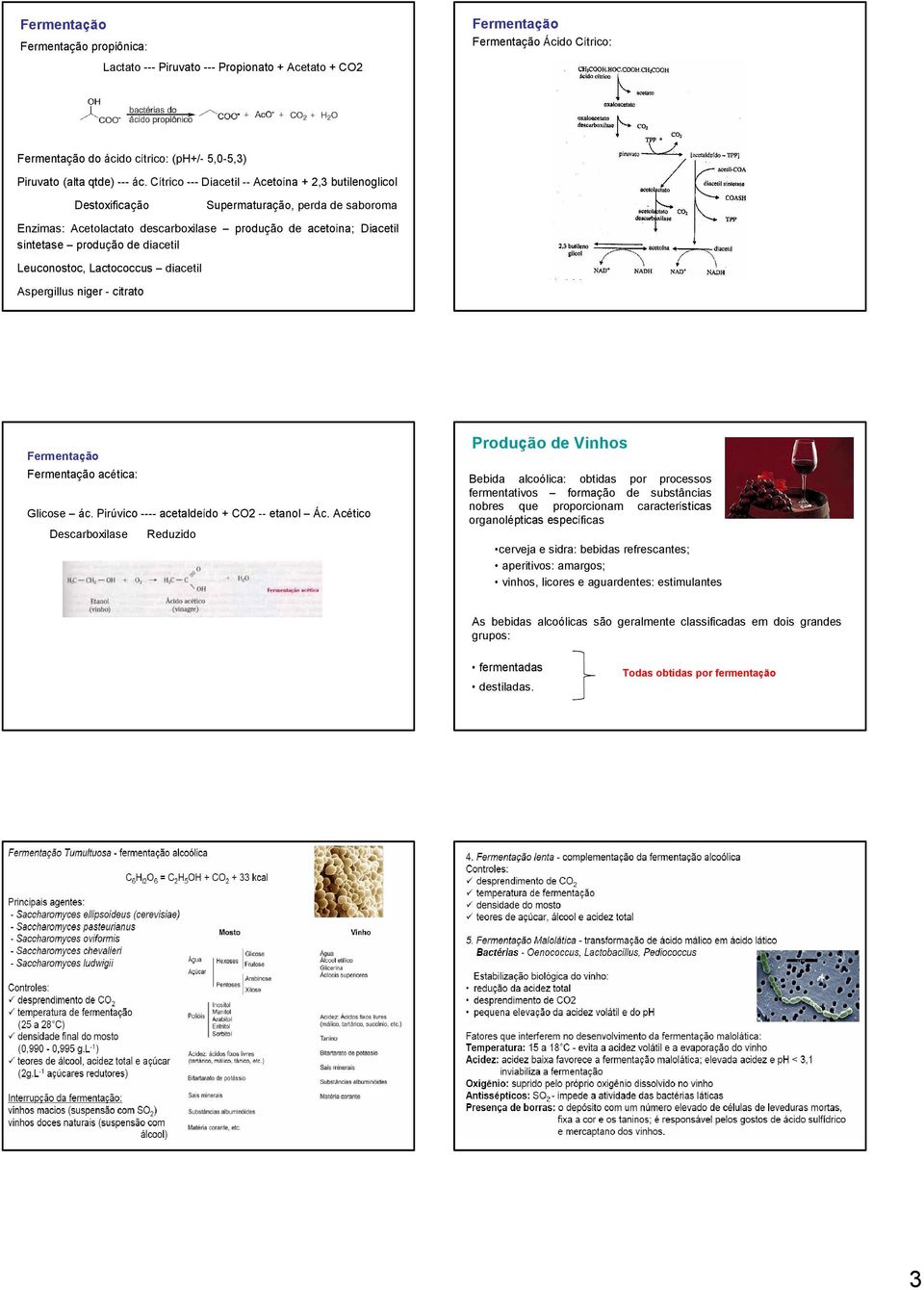 diacetil Leuconostoc, Lactococcus diacetil Aspergillus niger - citrato acética: Glicose ác. Pirúvico ---- acetaldeído + CO2 -- etanol Ác.