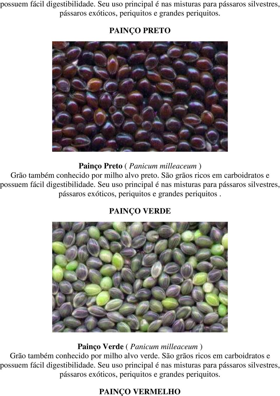 São grãos ricos em carboidratos e  PAINÇO VERDE Painço Verde ( Panicum milleaceum ) Grão também conhecido por milho alvo verde.