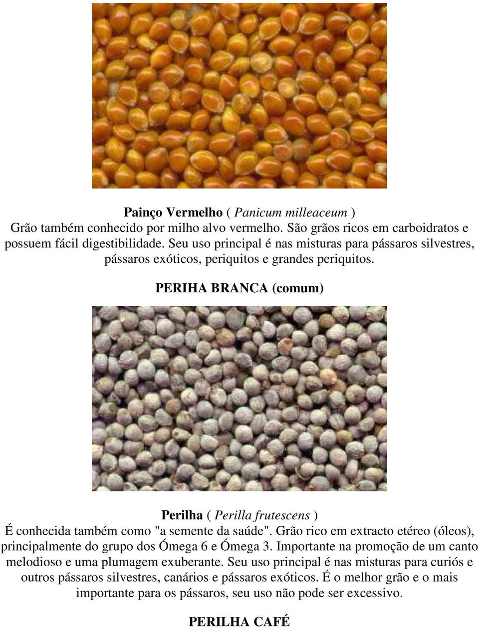 PERIHA BRANCA (comum) Perilha ( Perilla frutescens ) É conhecida também como "a semente da saúde".