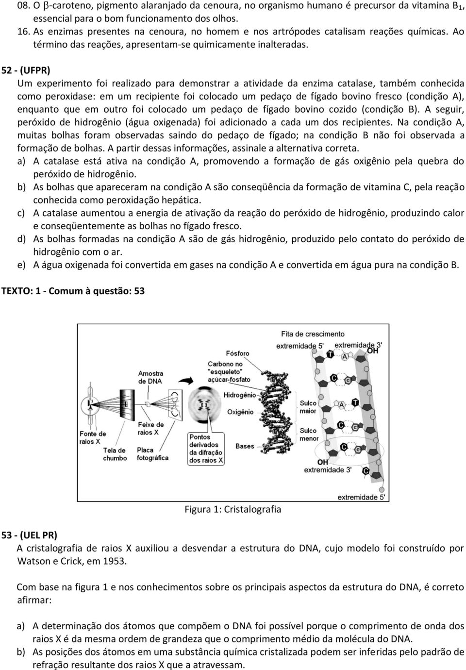 52 - (UFPR) Um experimento foi realizado para demonstrar a atividade da enzima catalase, também conhecida como peroxidase: em um recipiente foi colocado um pedaço de fígado bovino fresco (condição