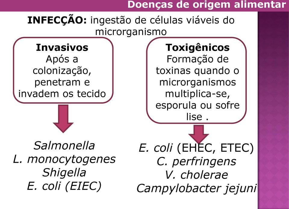 quando o microrganismos multiplica-se, esporula ou sofre lise. Salmonella L.