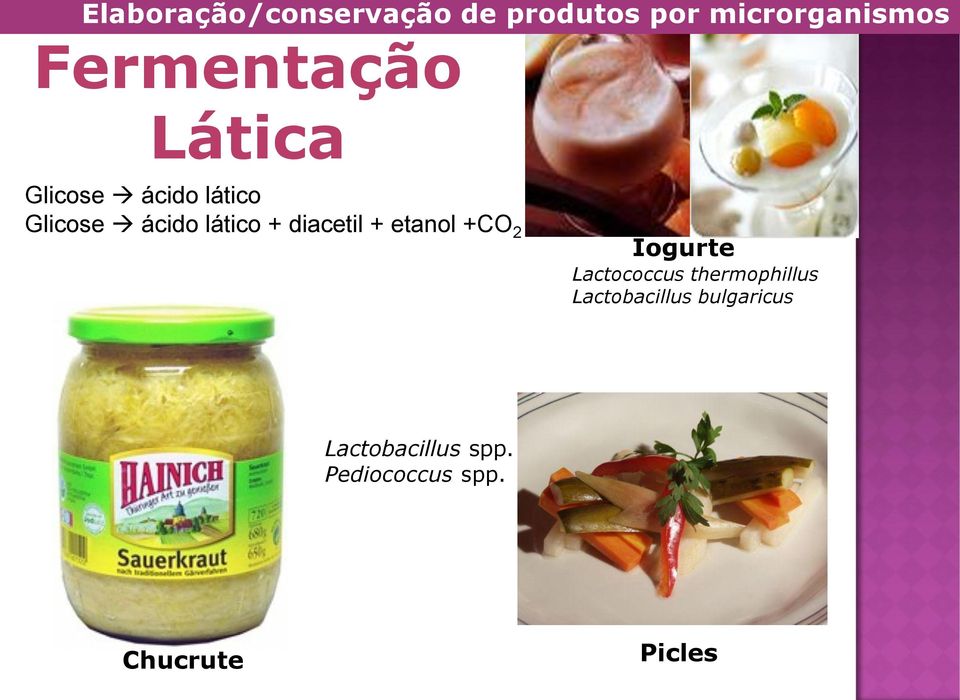 diacetil + etanol +CO 2 Iogurte Lactococcus thermophillus