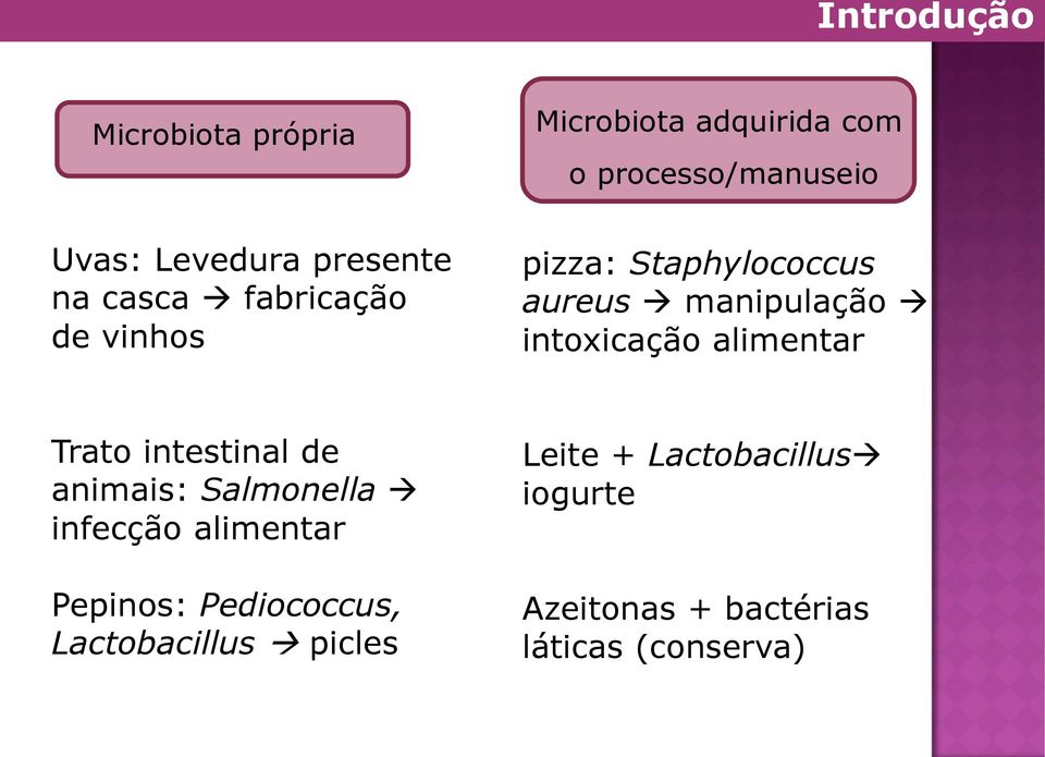 intoxicação alimentar Trato intestinal de animais: Salmonella infecção alimentar Pepinos: