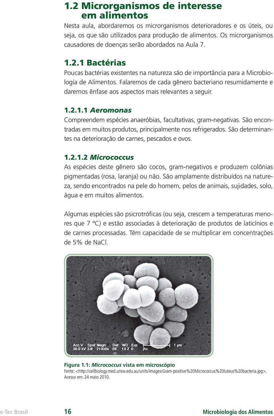 Falaremos de cada gênero bacteriano resumidamente e daremos ênfase aos aspectos mais relevantes a seguir. 1.2.1.1 Aeromonas Compreendem espécies anaeróbias, facultativas, gram-negativas.