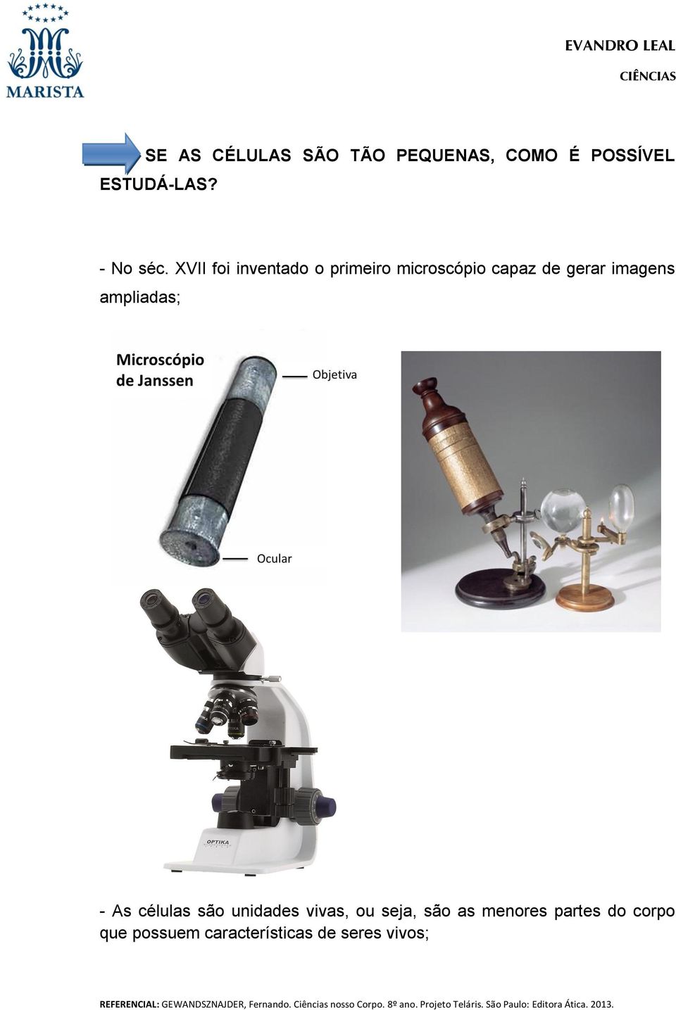 XVII foi inventado o primeiro microscópio capaz de gerar imagens