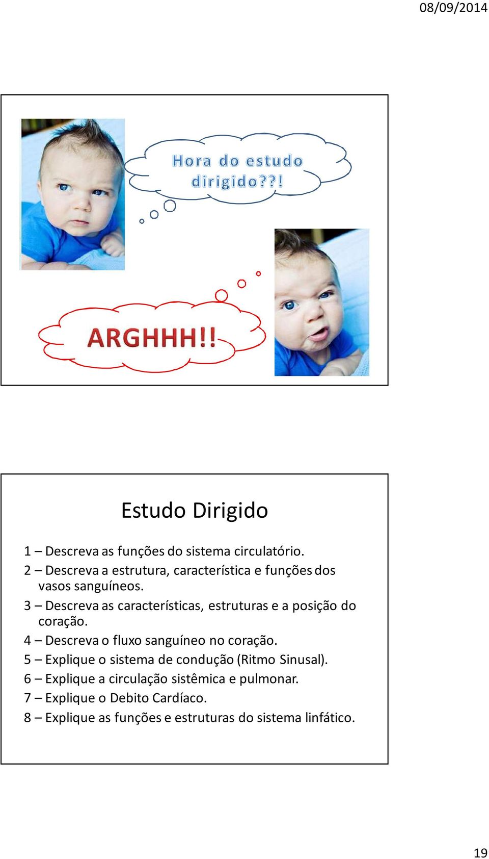 3 Descreva as características, estruturas e a posição do coração. 4 Descreva o fluxo sanguíneo no coração.