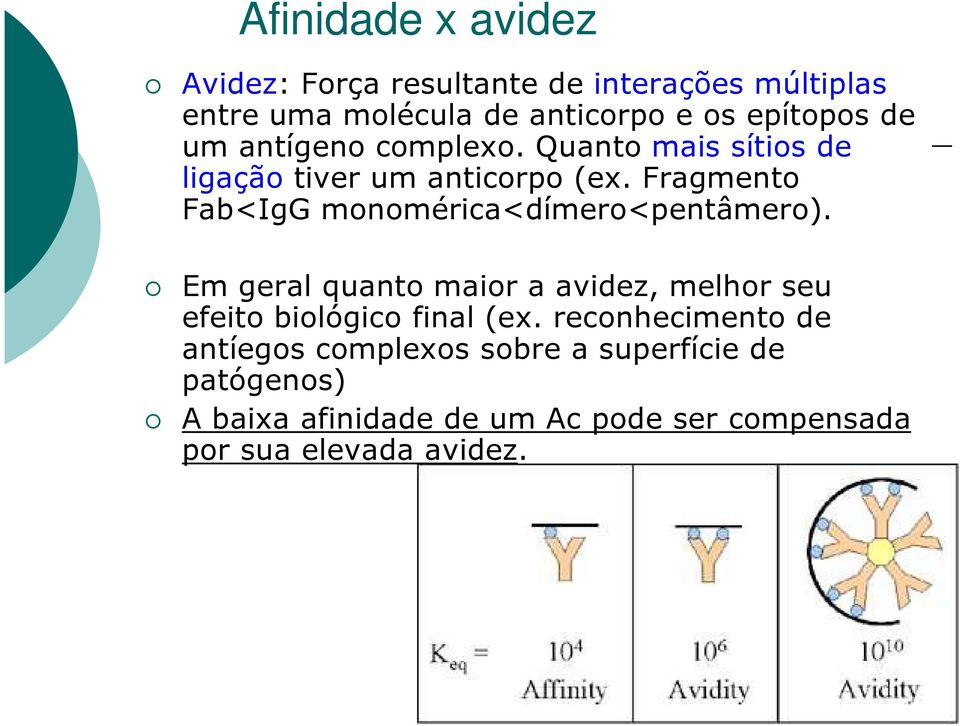 Fragmento Fab<IgG monomérica<dímero<pentâmero).