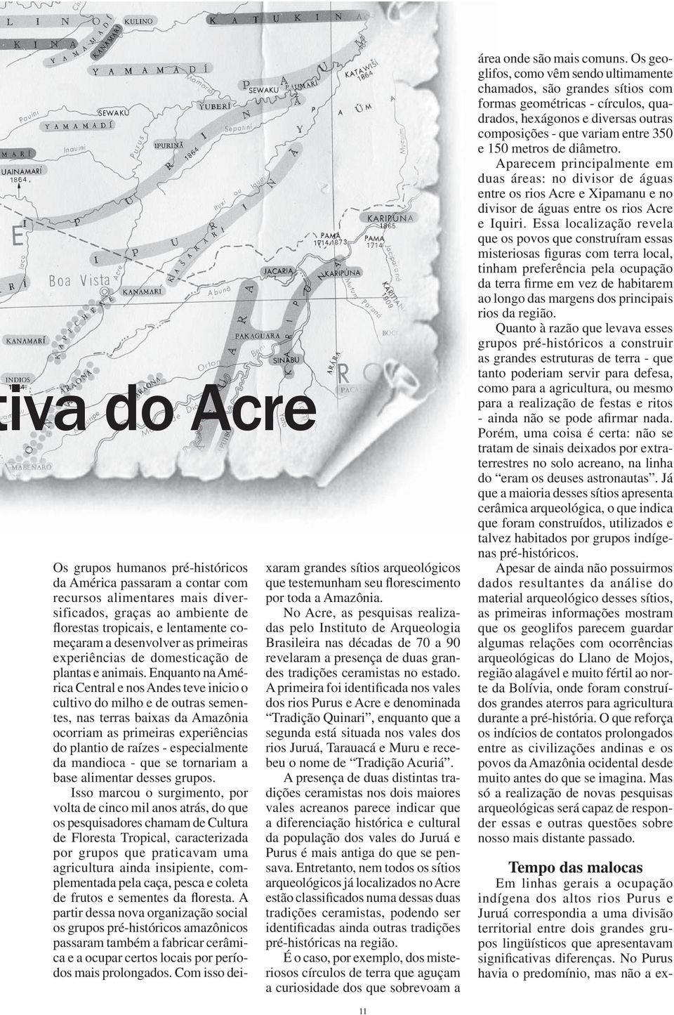 Enquanto na América Central e nos Andes teve inicio o cultivo do milho e de outras sementes, nas terras baixas da Amazônia ocorriam as primeiras experiências do plantio de raízes - especialmente da