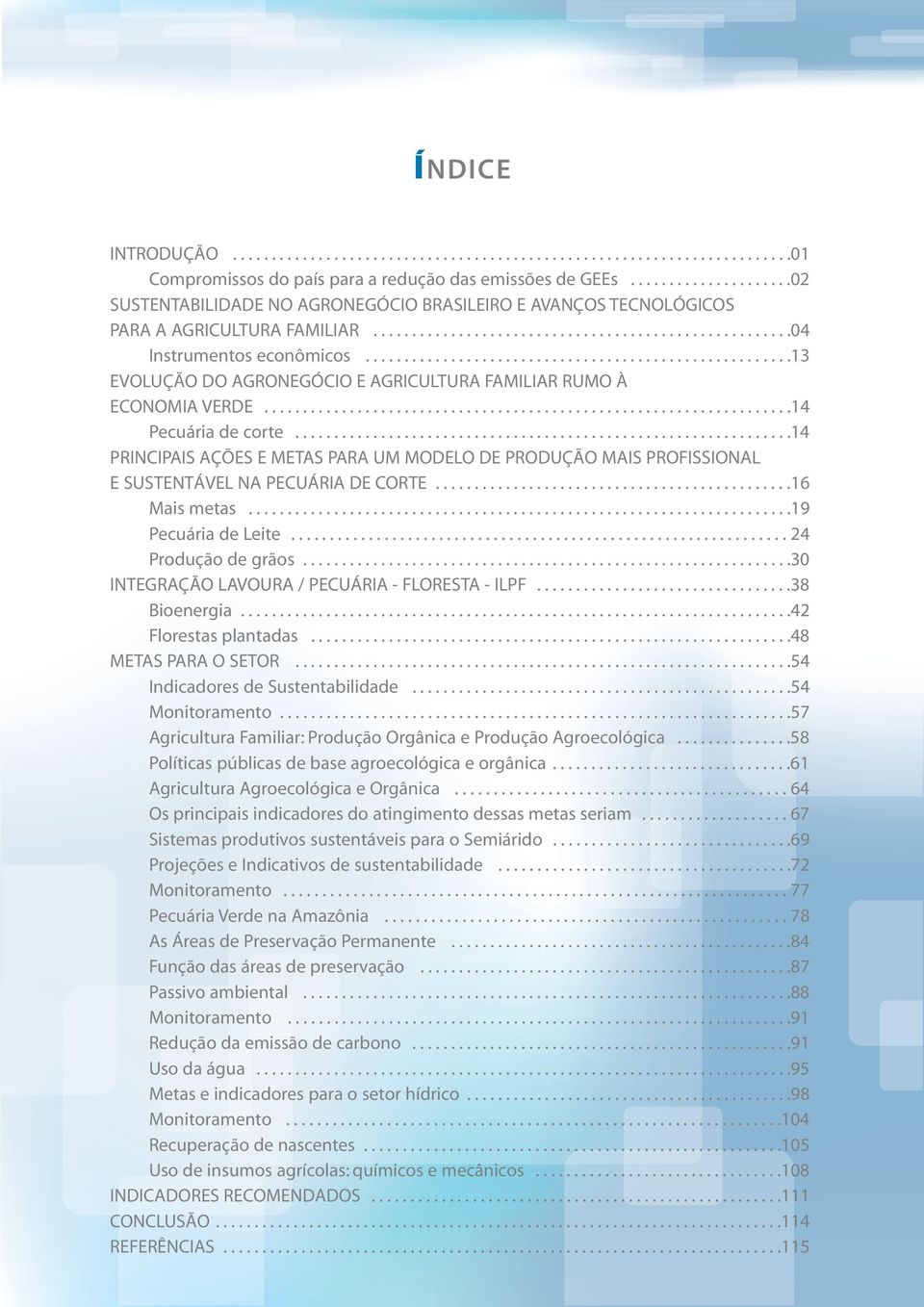 ......................................................13 EVOLUÇÃO DO AGRONEGÓCIO E AGRICULTURA FAMILIAR RUMO À ECONOMIA VERDE....................................................................14 Pecuária de corte.