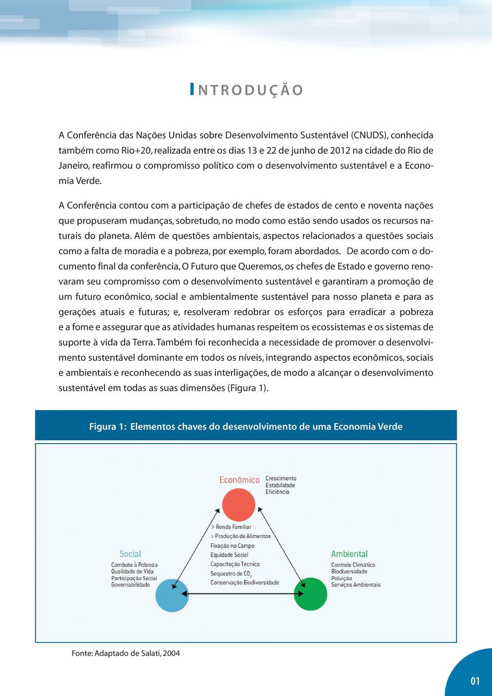 A Conferência contou com a participação de chefes de estados de cento e noventa nações que propuseram mudanças, sobretudo, no modo como estão sendo usados os recursos naturais do planeta.